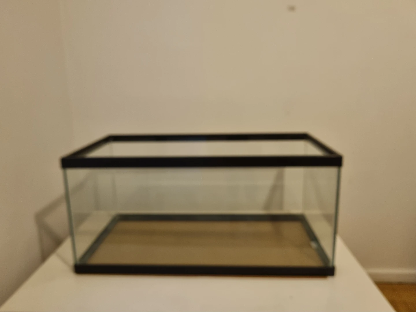 40 Gallon Aquarium Tank