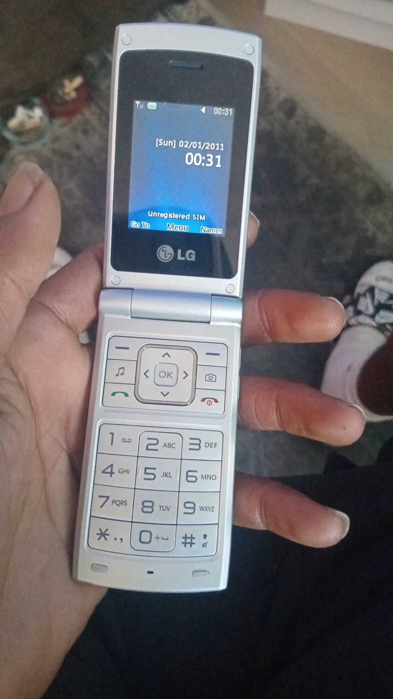 Lg flip phone Roger's