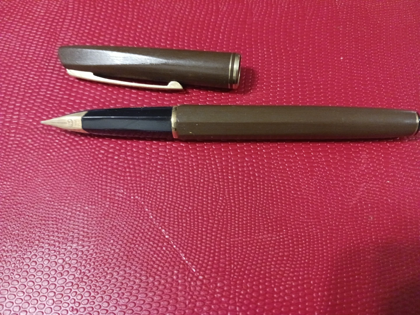 Watermelon Concord Brown fountain pen with gold trim