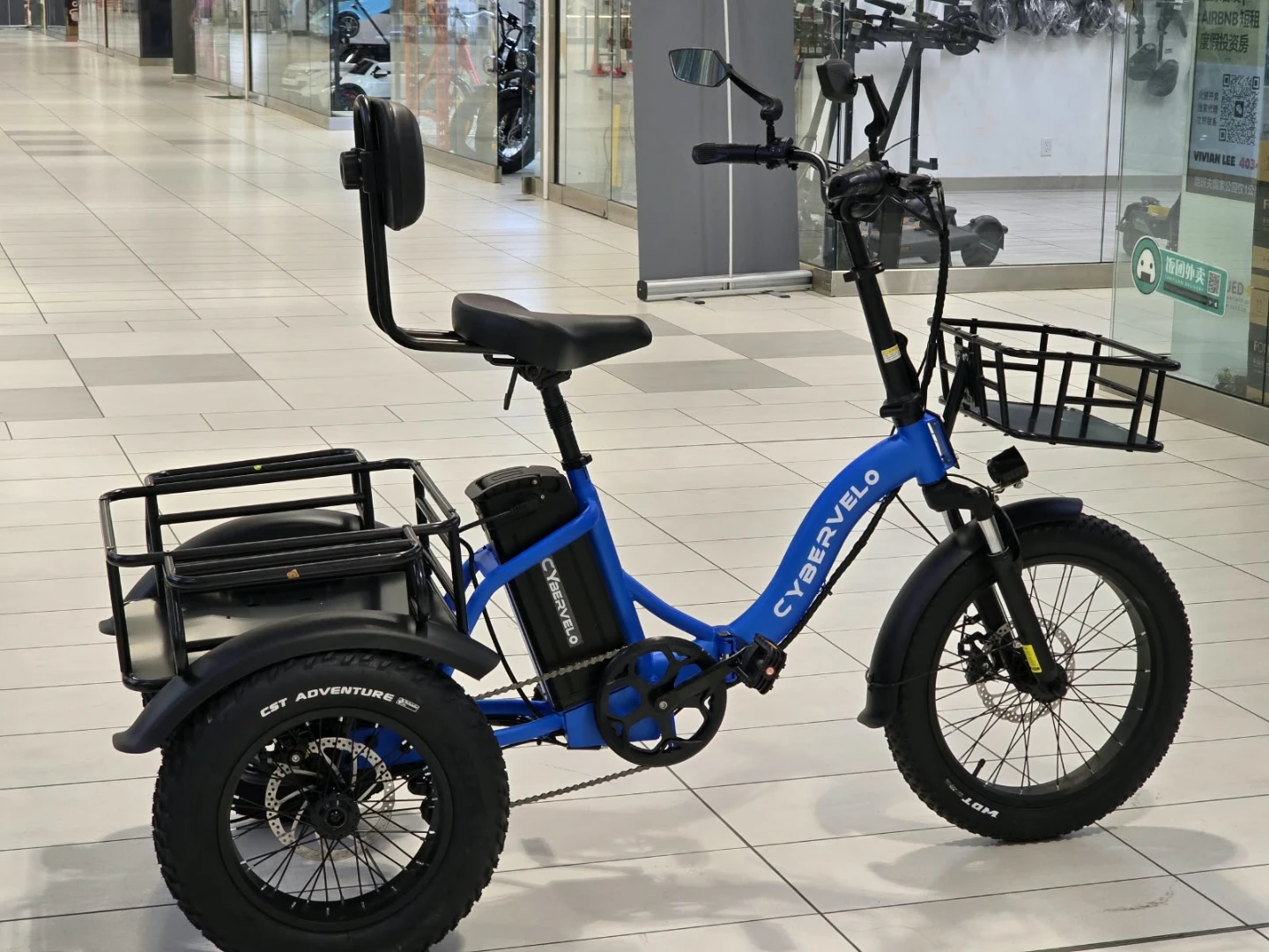 Electric Fat Tire Tricycle