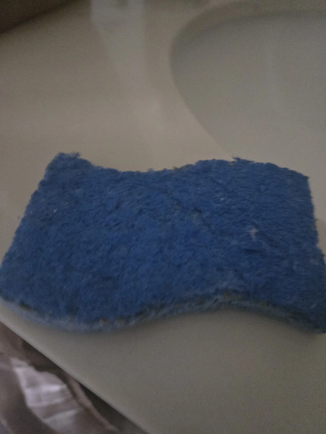 Blue Sponge Scrubber