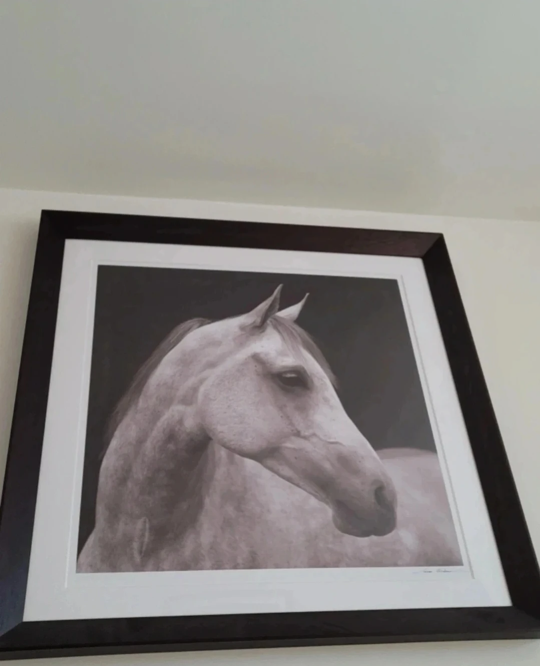 Framed Horse Portrait Wall Art