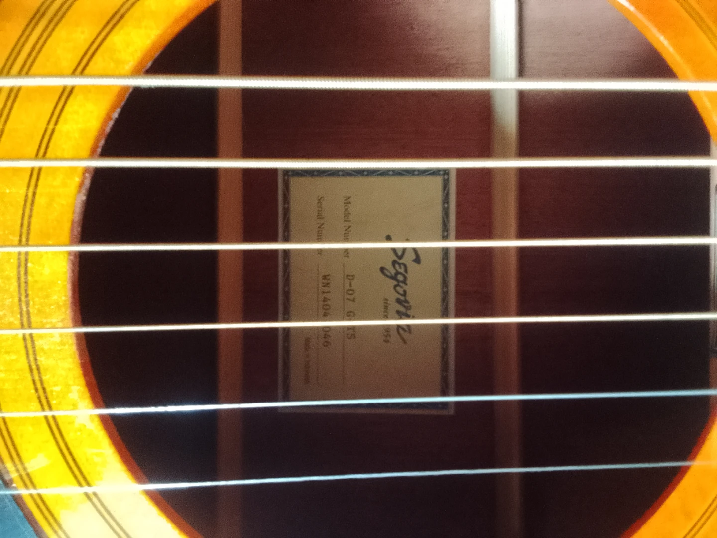 Segovia D-07 GTS Acoustic Guitar - photo 3