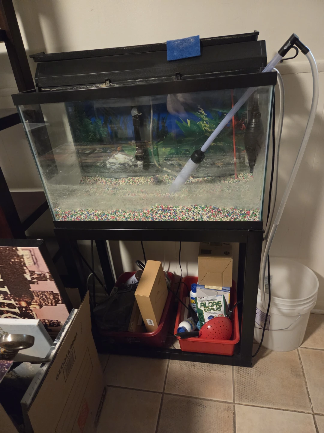 30 gal Fish tank with black stand