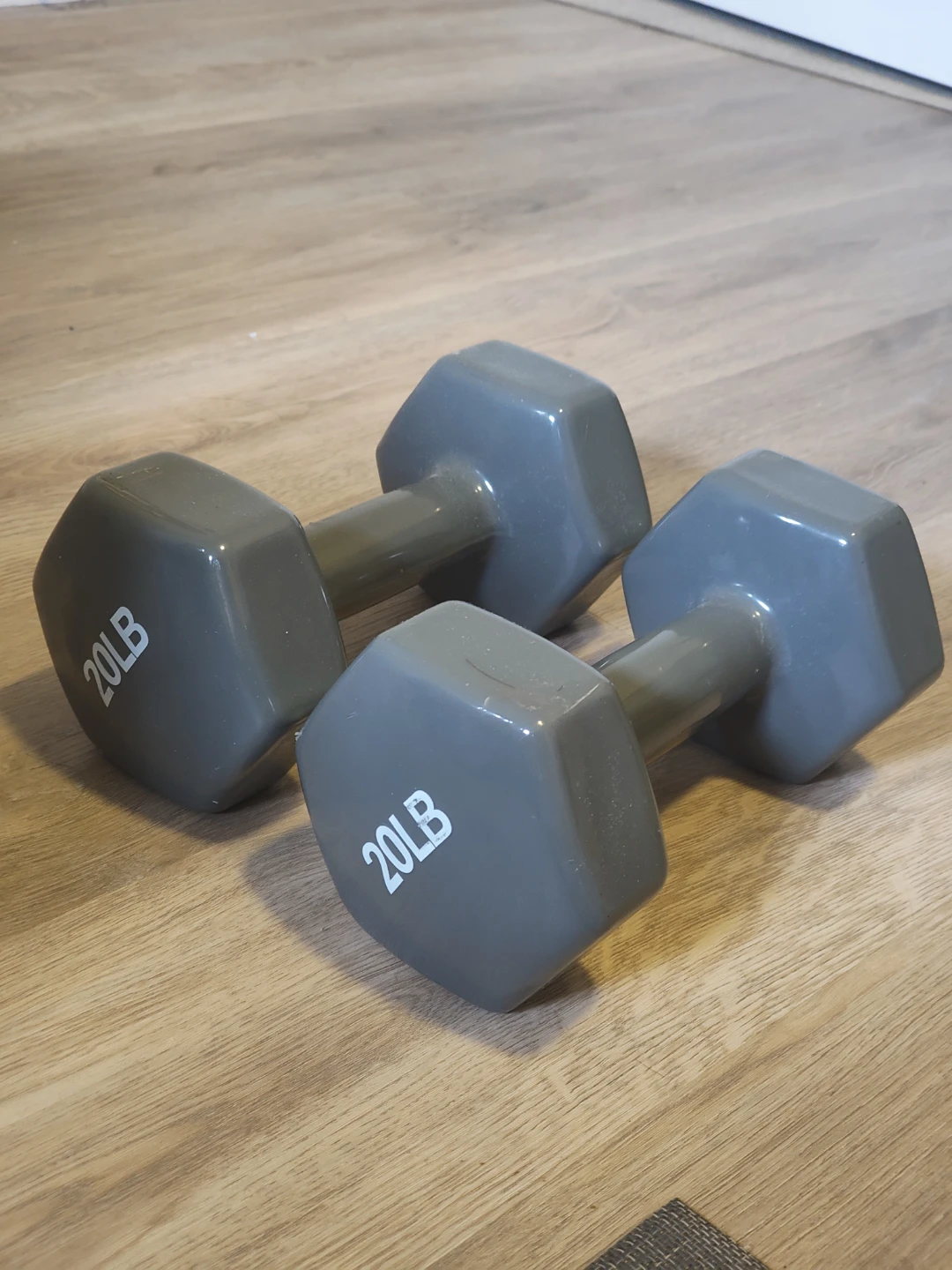 Pair of 20lb Dumbbells