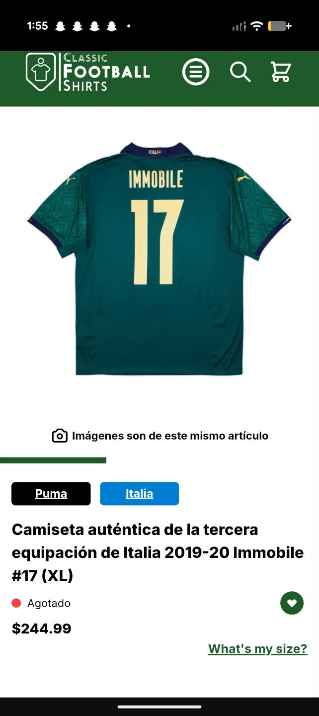 Puma Italia Immobile 17 Soccer Jersey - photo 2