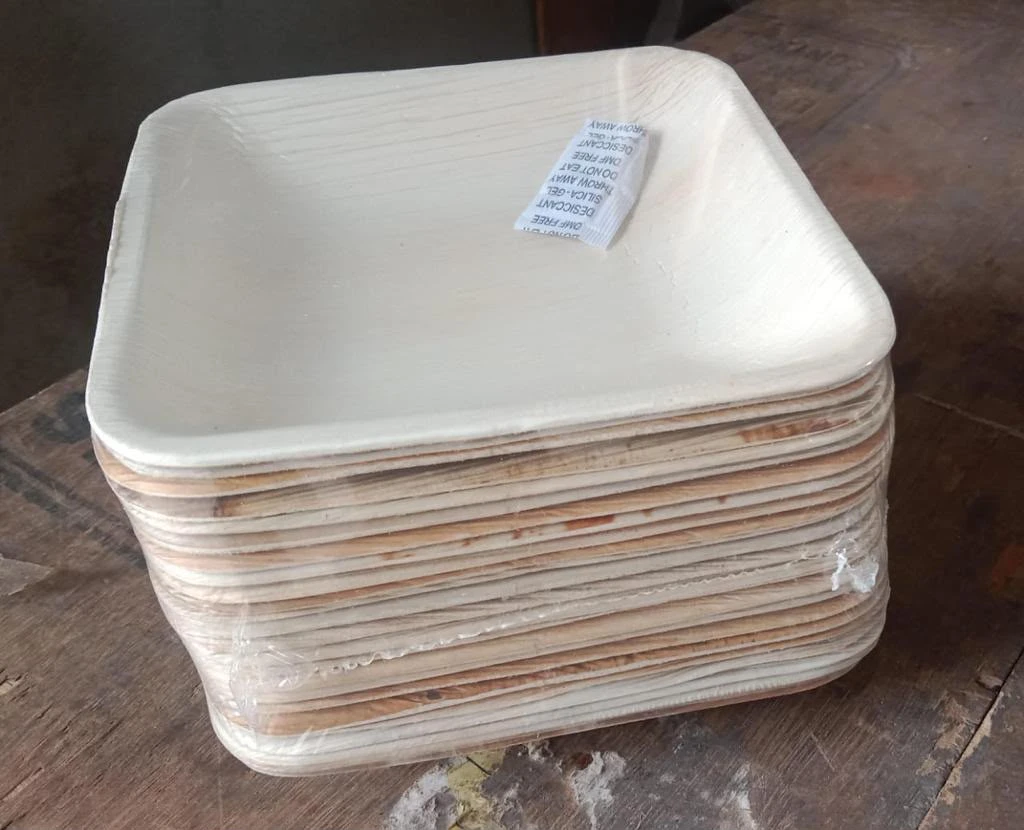 Palm Leaf Plates (Pack of 25)