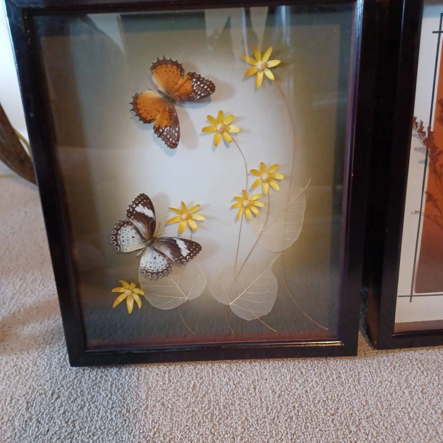Framed Butterfly and Botanical Art - Set of 3 - photo 3