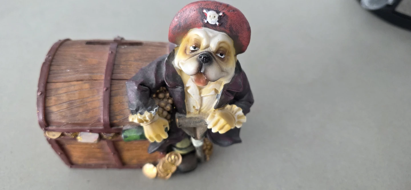 Pirate Dog Coin Bank