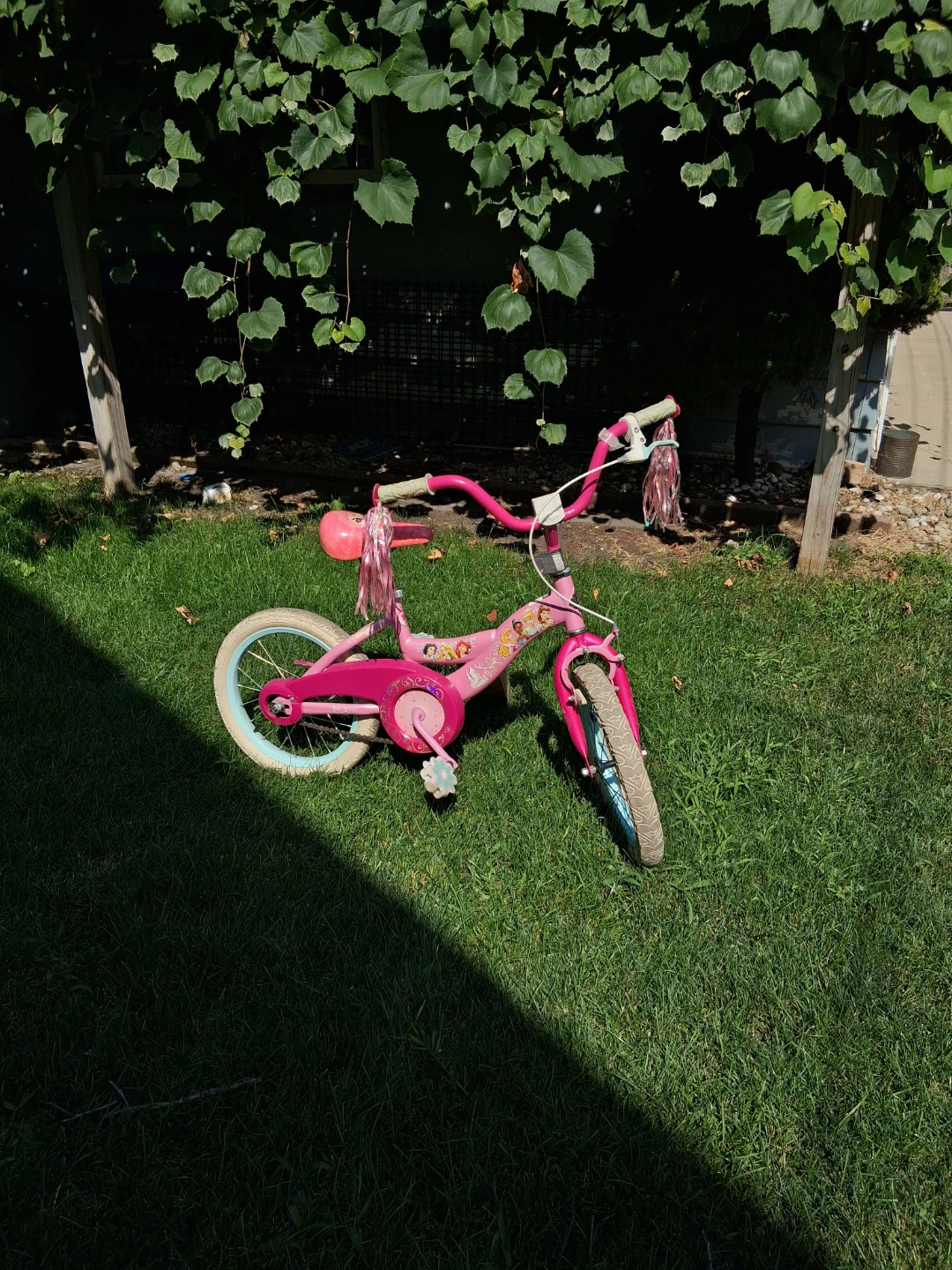 Pink Princess Kids Bike