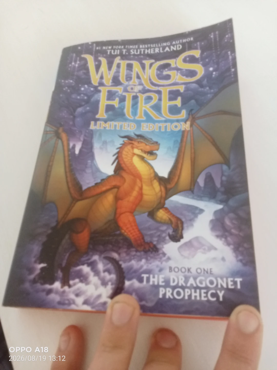 Wings of Fire: The Dragonet Prophecy Limited Edition Book 1 - photo 2
