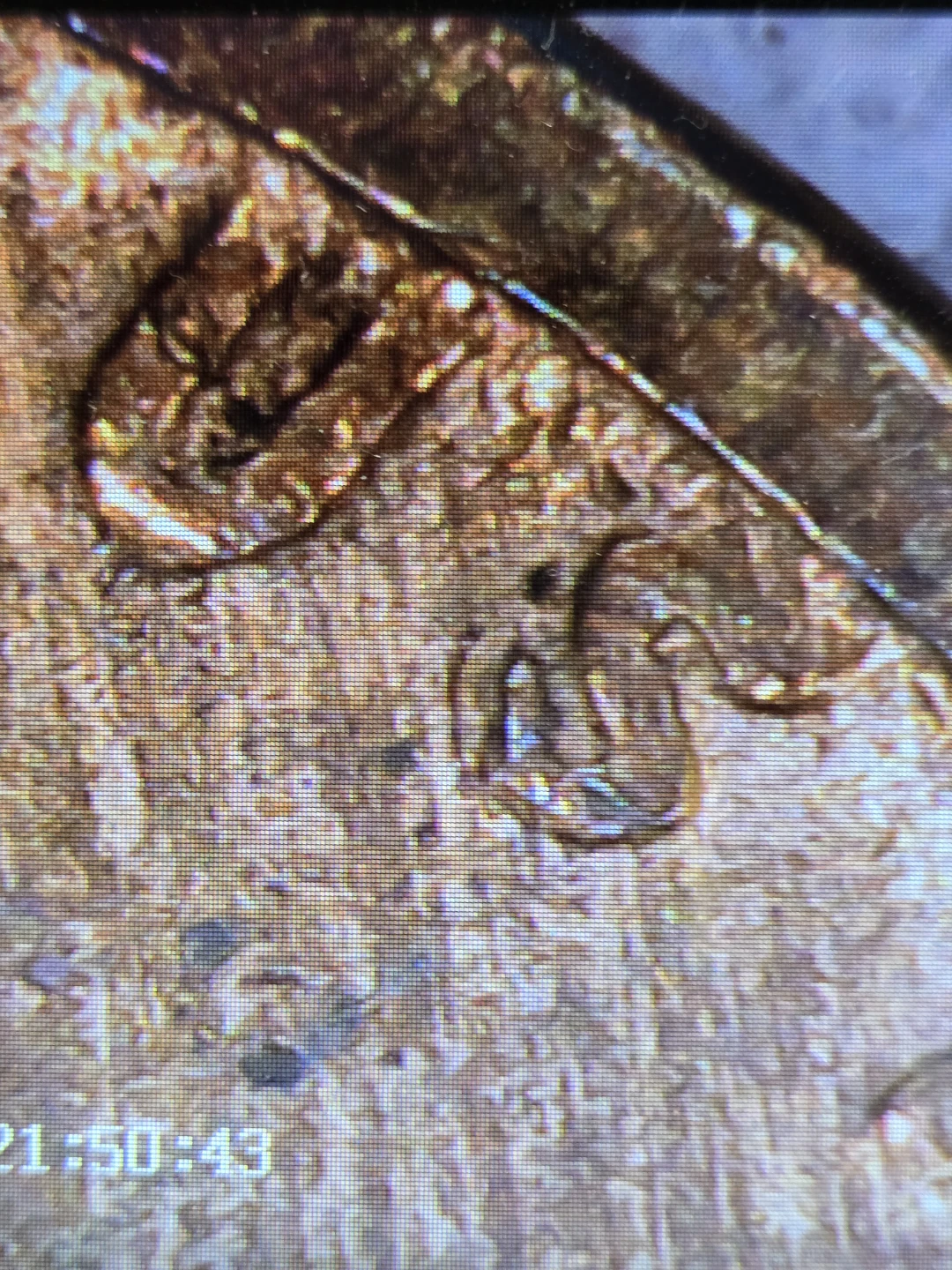 1918 Lincoln Wheat Penny - One Cent Coin - photo 2