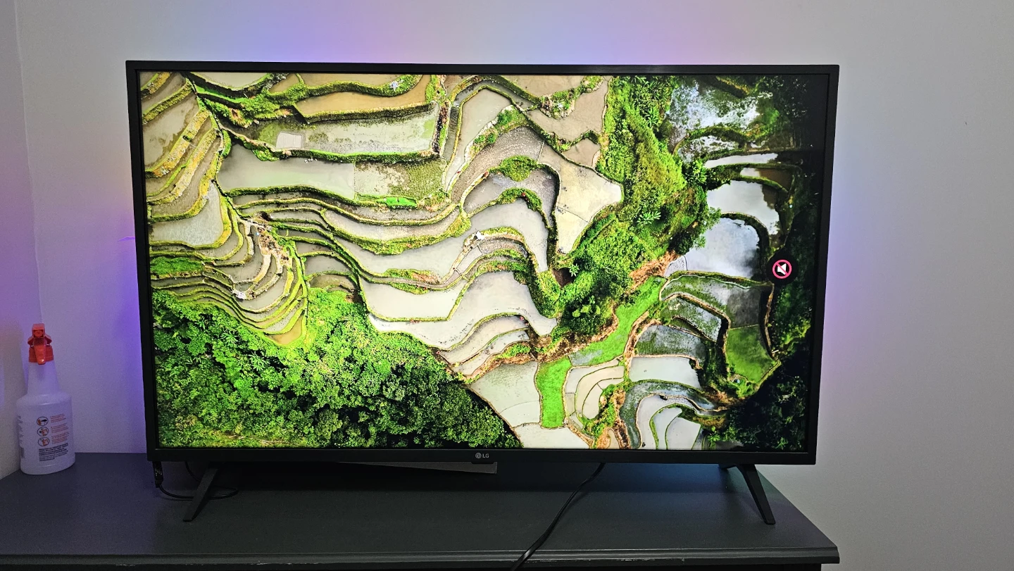 LG Television - photo 3