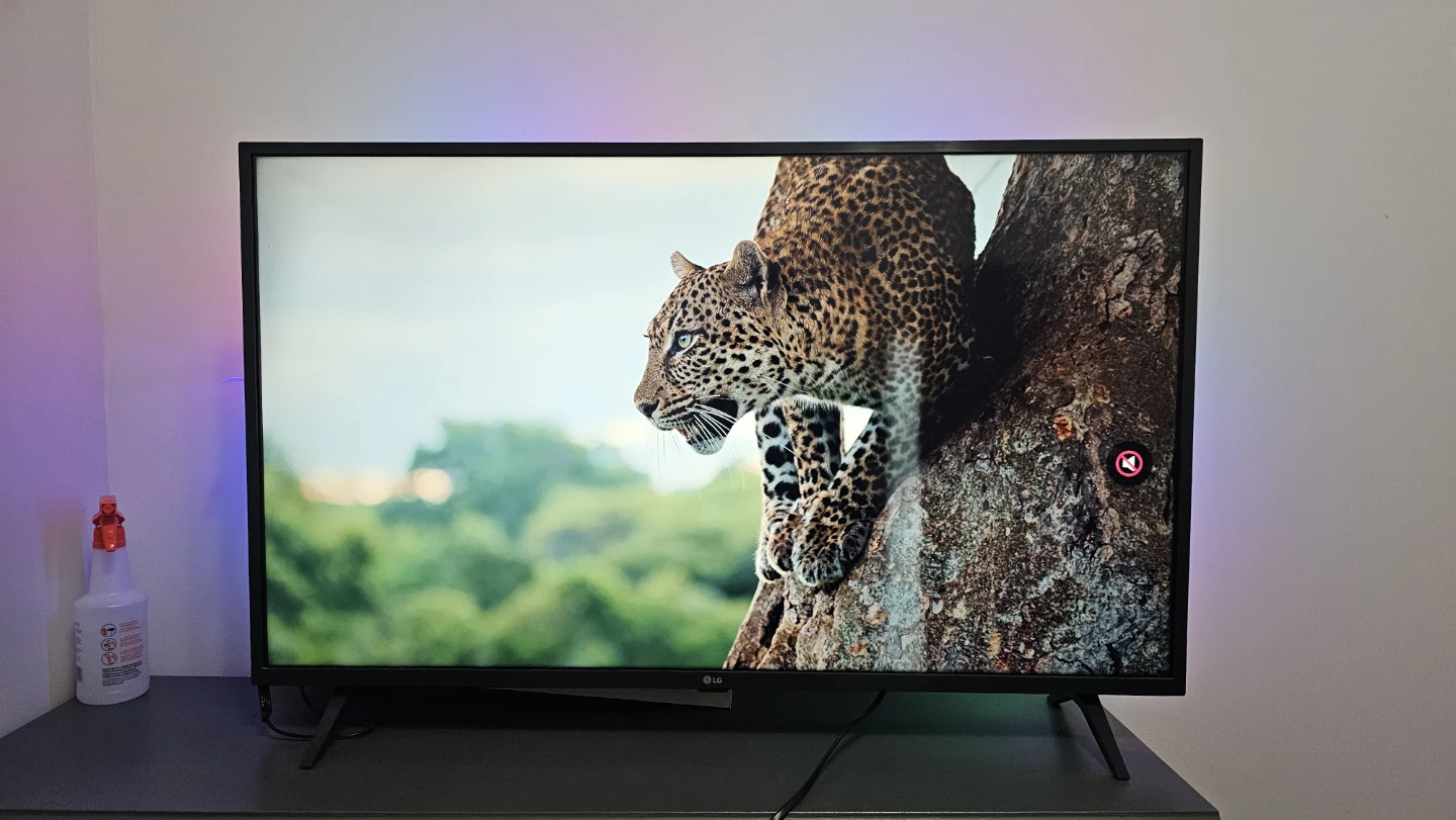 LG Television - photo 4