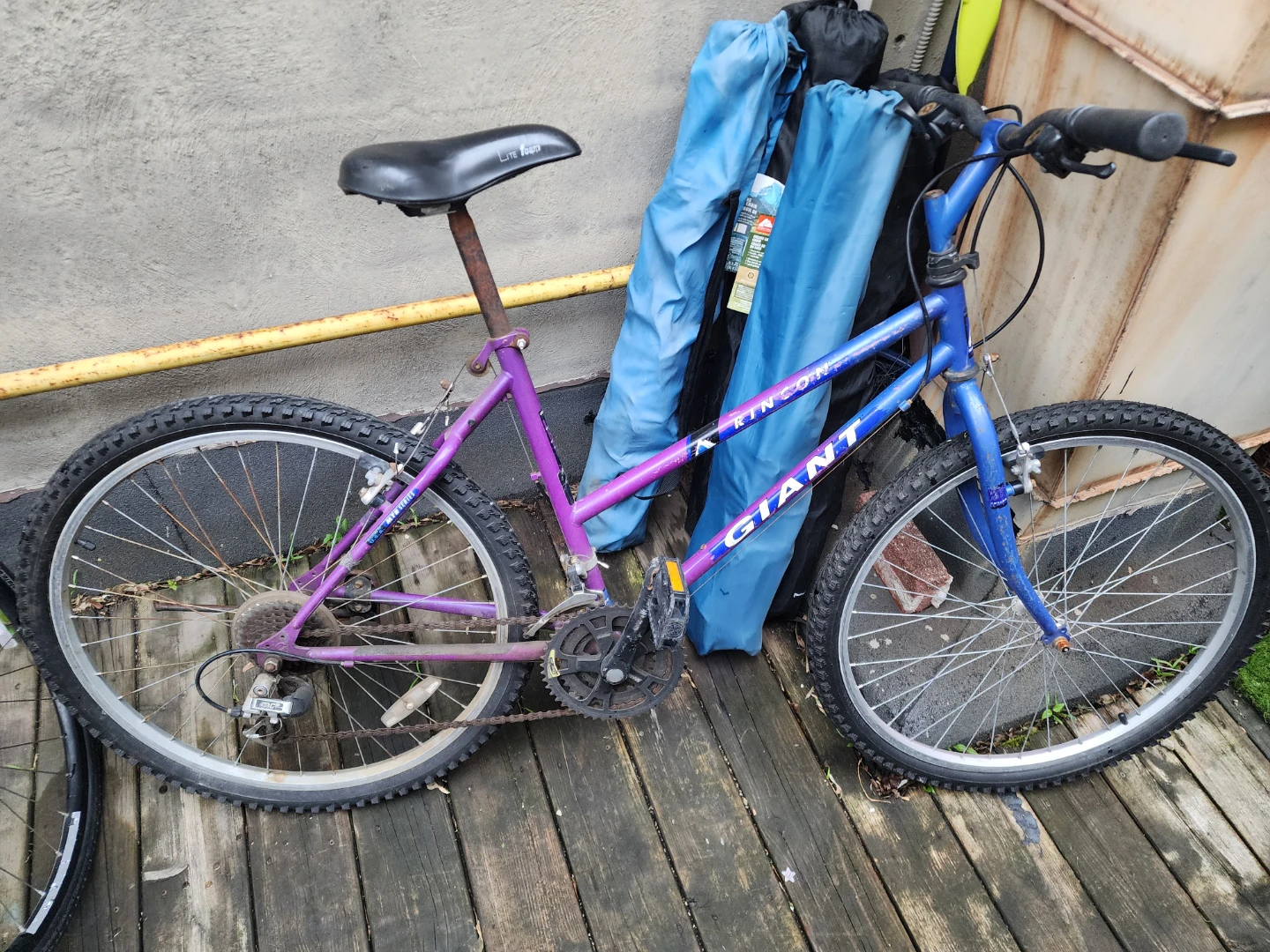 Giant Rincon Mountain Bike