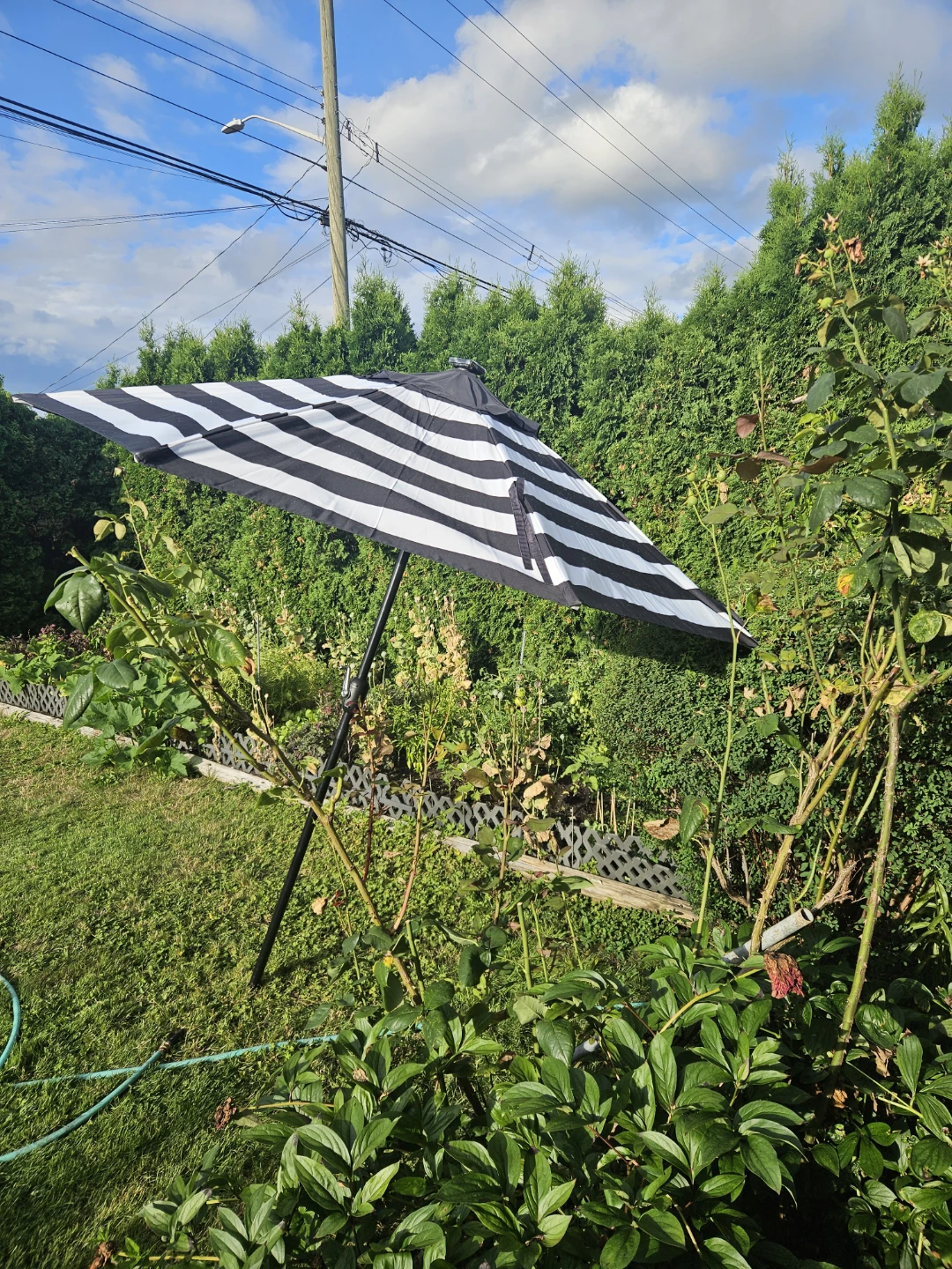patio umbrella - photo 3
