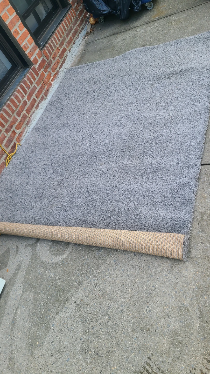 Gray Shag Rug - photo 2