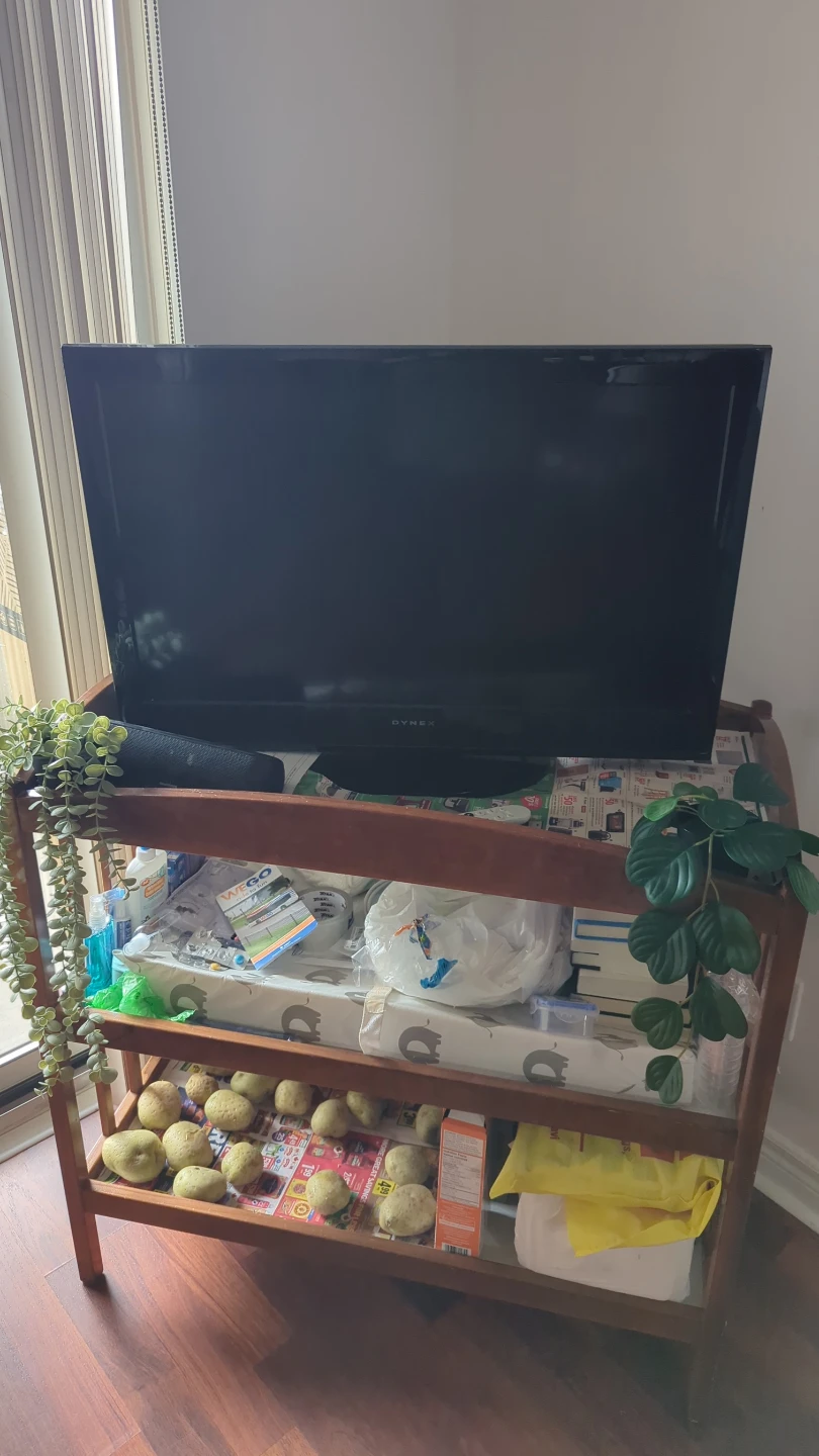 Dynex TV