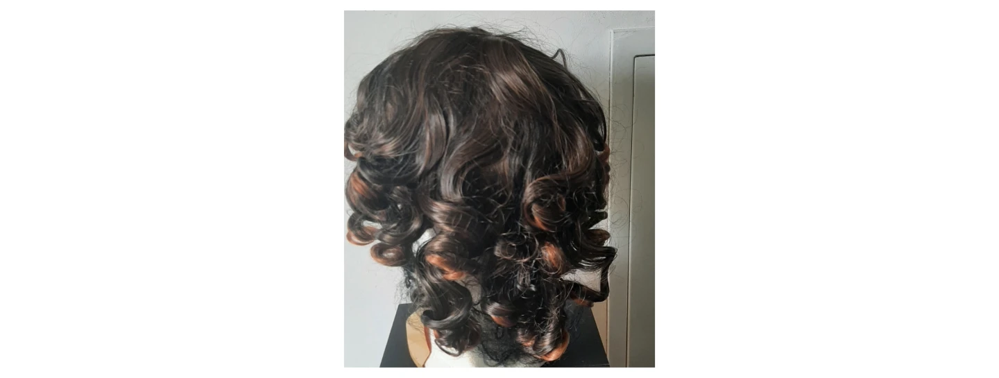 Wig - Curly Brown and Blonde Highlights - photo 2