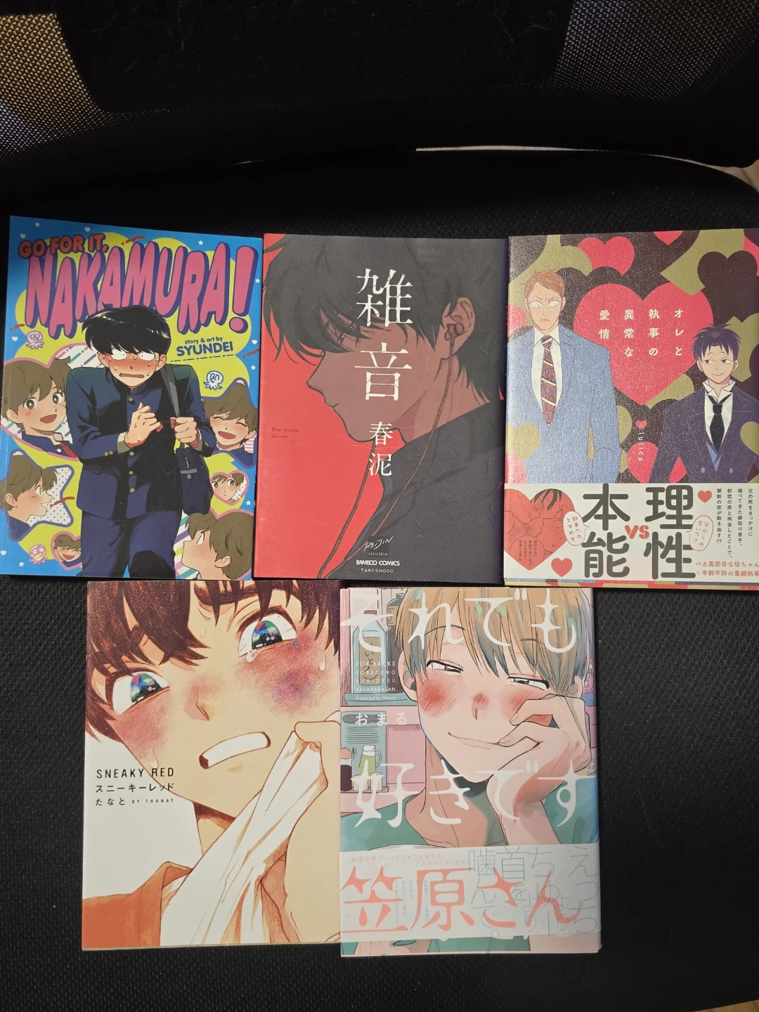 Miscellaneous BL/Yaoi lot  (18+)