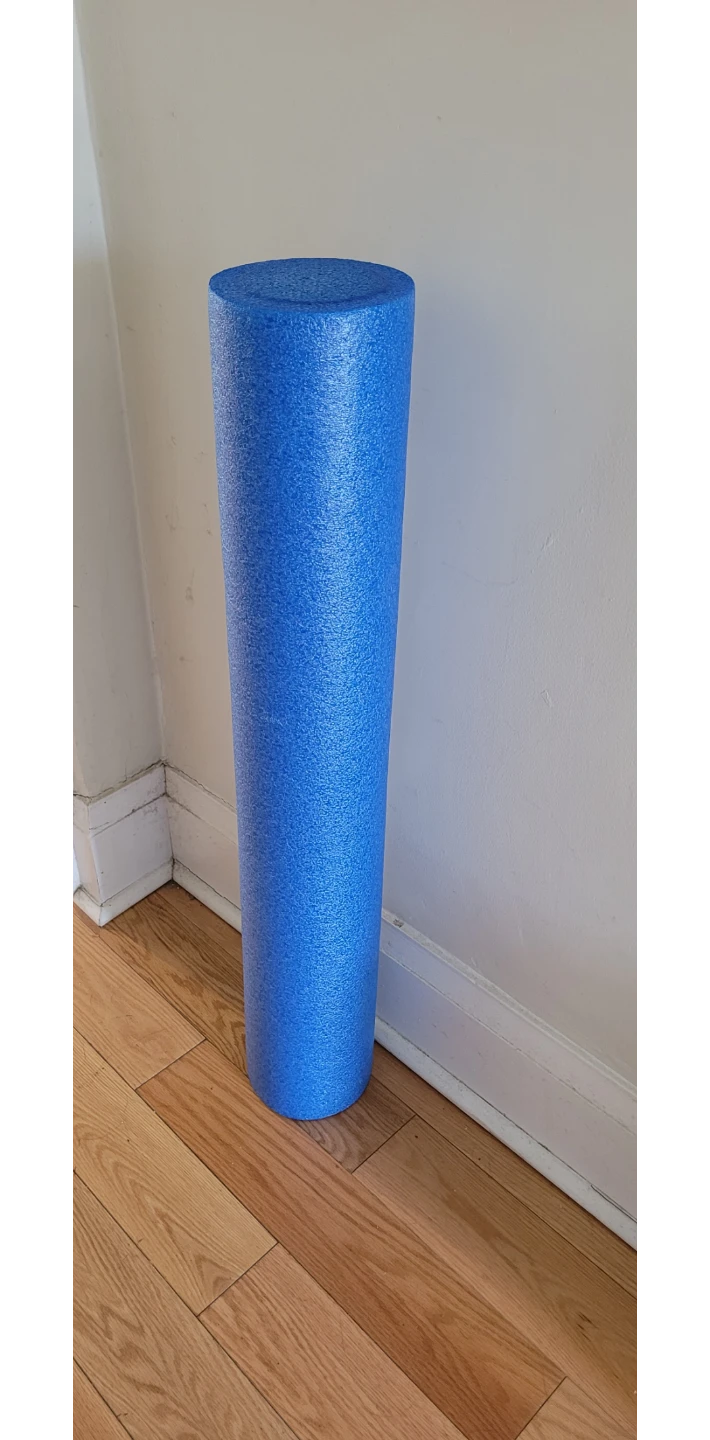 Premium Full-Size High-Density Foam Roller (Blue) — $10