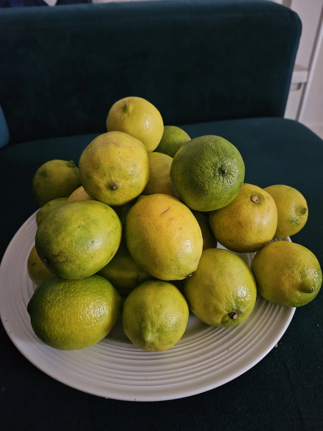 Fresh  Lemons