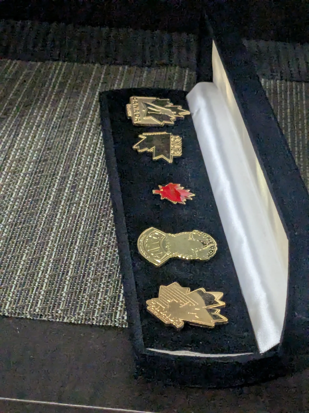 Collection of Canada Pins - photo 2