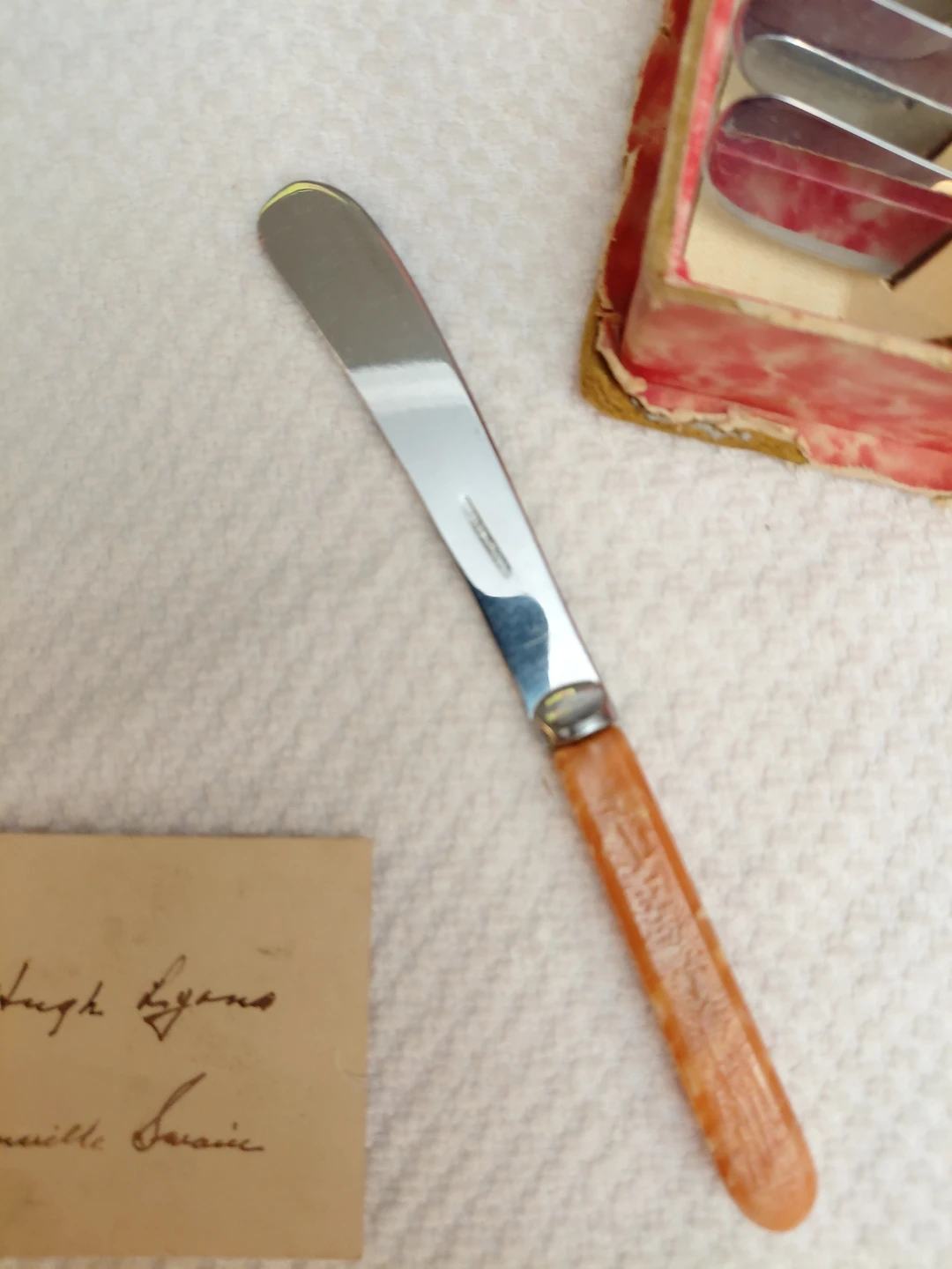 Set of 5 Vintage Butter Knives with Case - photo 4
