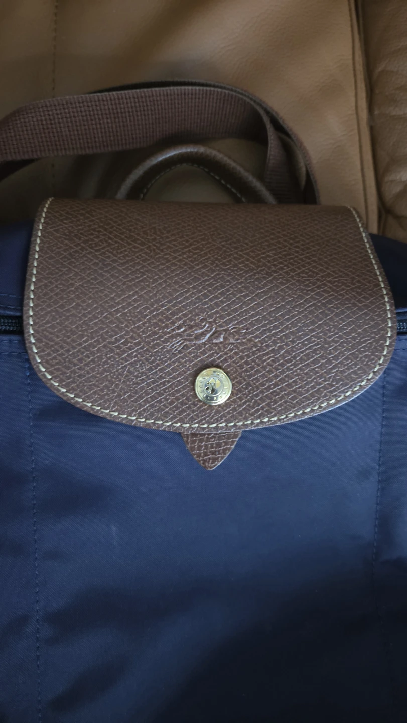Longchamp Le Pliage Backpack - photo 4