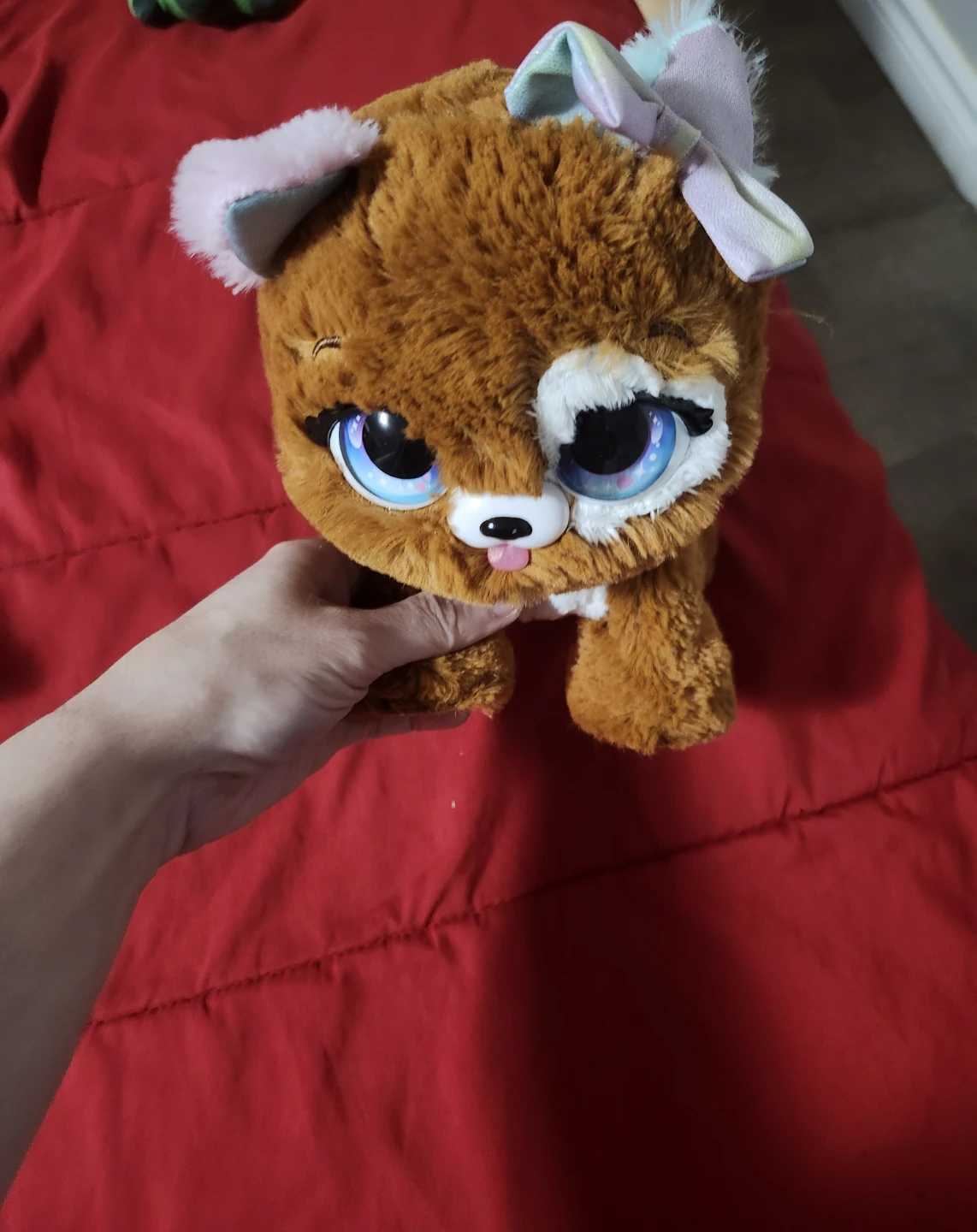 $10 present interactive pet