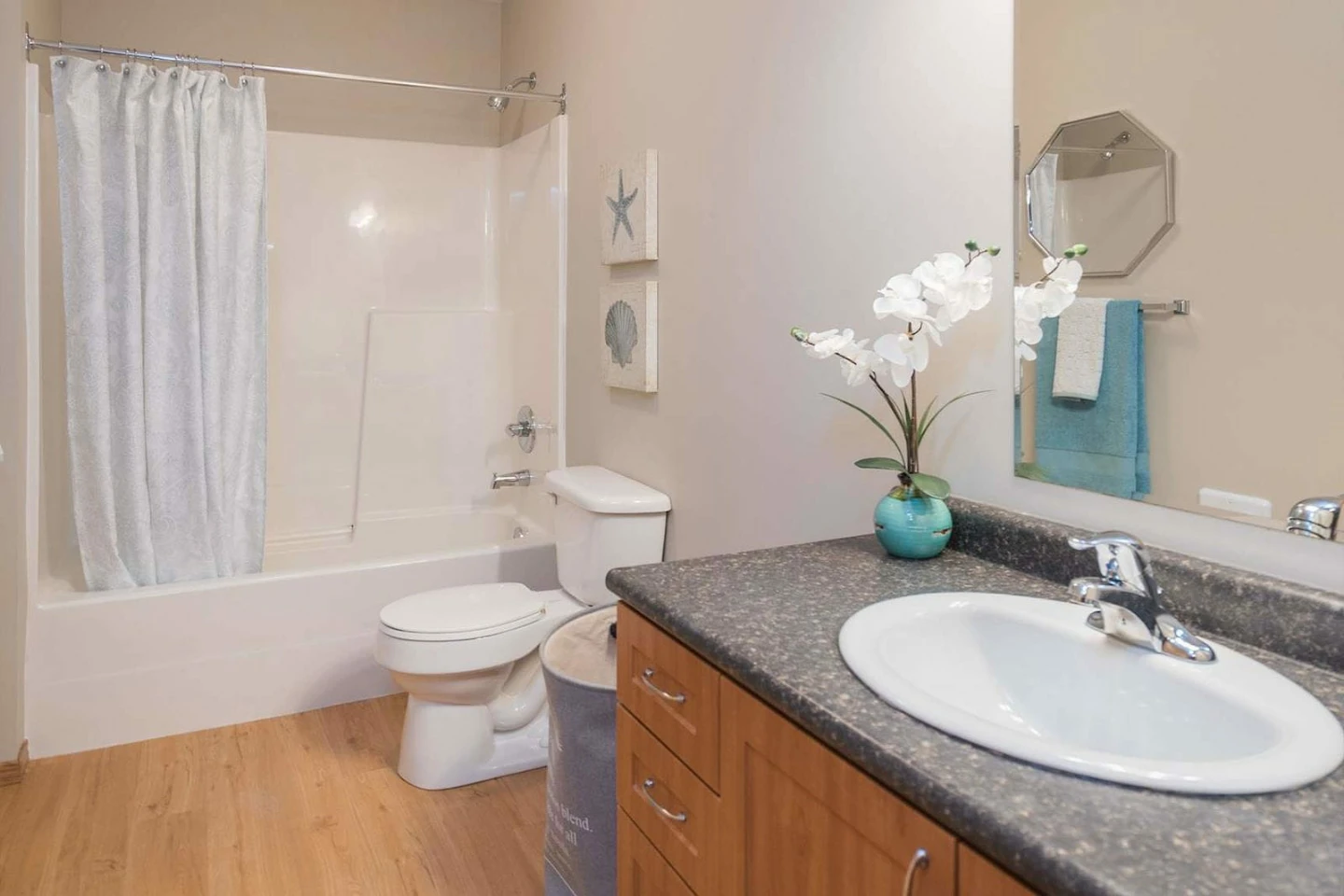 2 bedroom & 1 bathroom! - photo 4