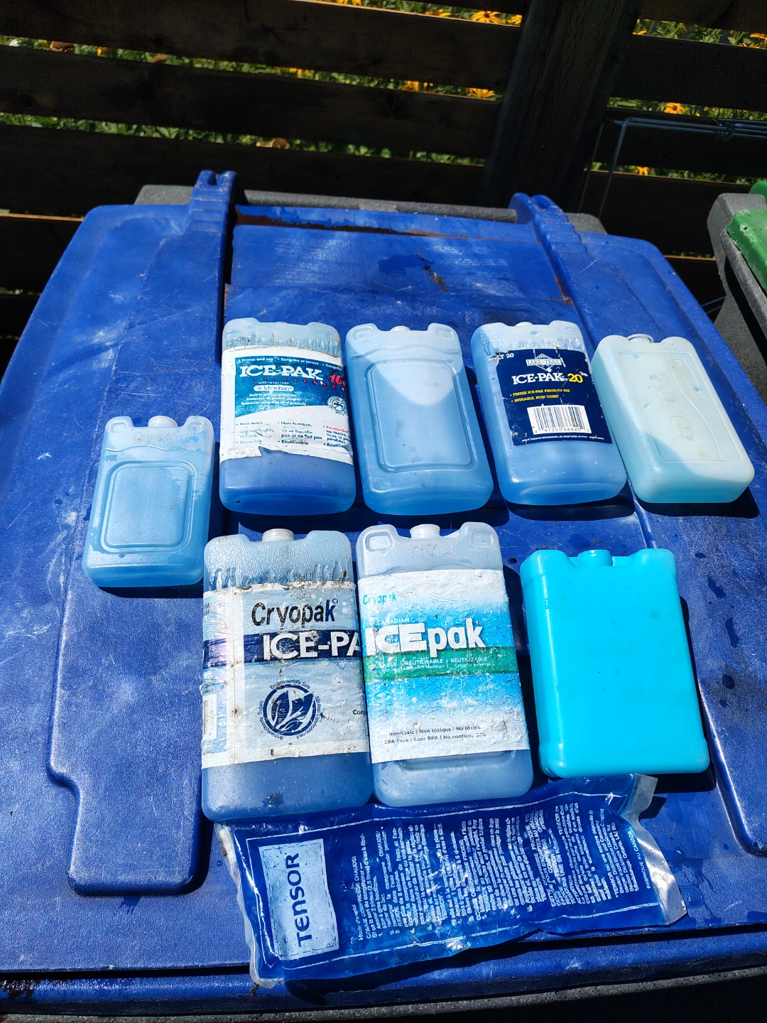 Cryopac Cooler Reusable Ice packs - photo 2