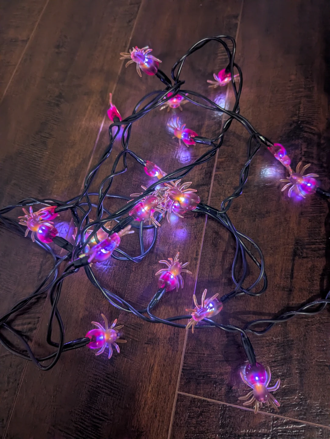 Halloween Spider String Lights