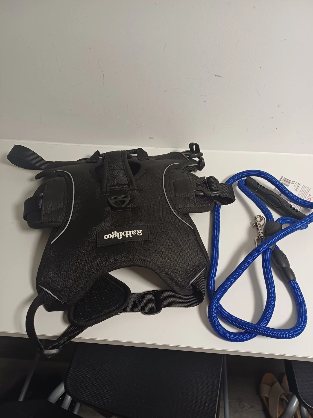 Large-Rabbitgoo Dog Harness with Free Leash - photo 3