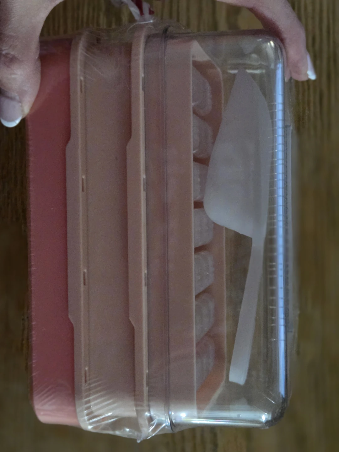 PHINOX Ice Cube Tray with Lid & Scoop - photo 2