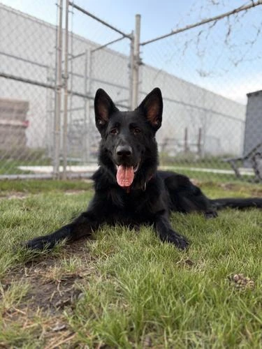 Adoption event! And some Important tips - photo 3