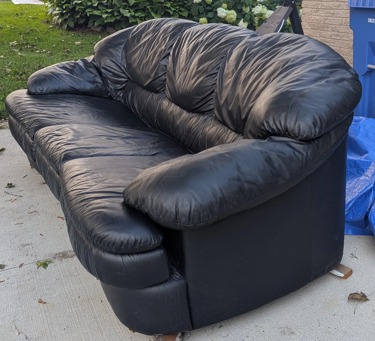 Free Leather Sofa - photo 2