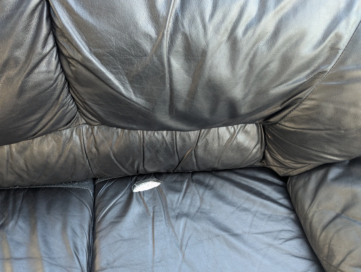 Free Leather Sofa - photo 4