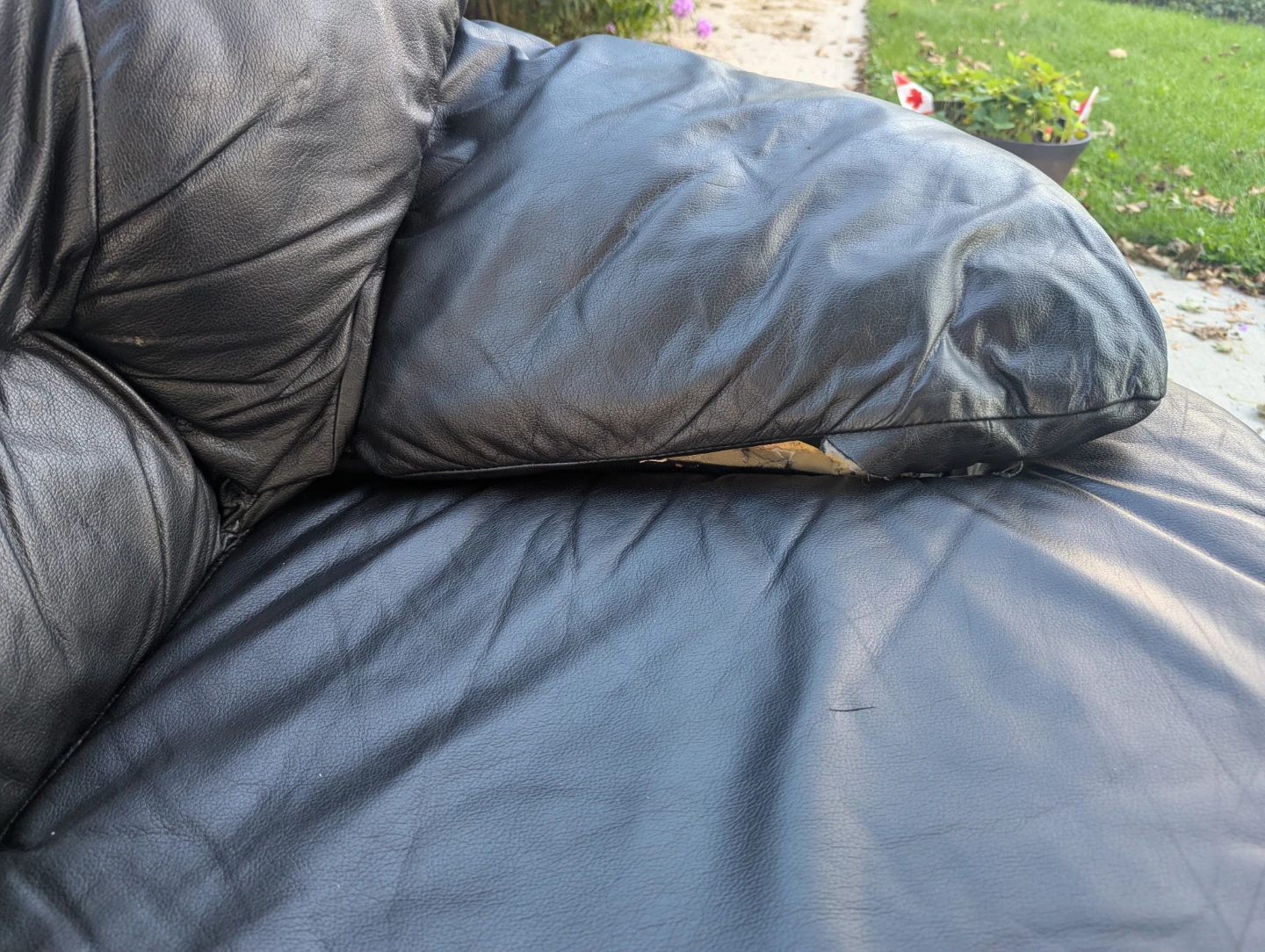 Free Leather Sofa - photo 5