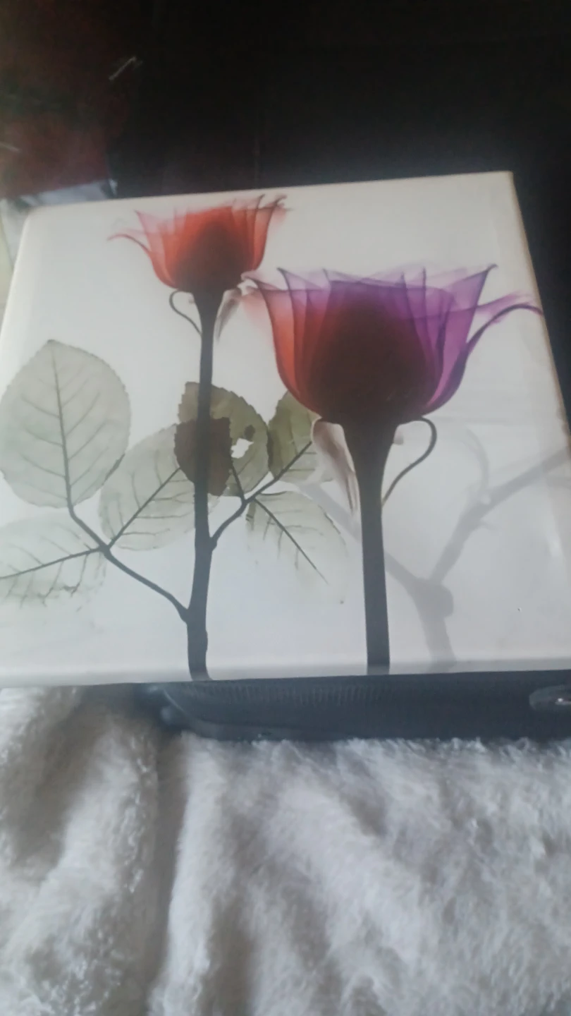 Set of 2 Floral Canvas Wall Art