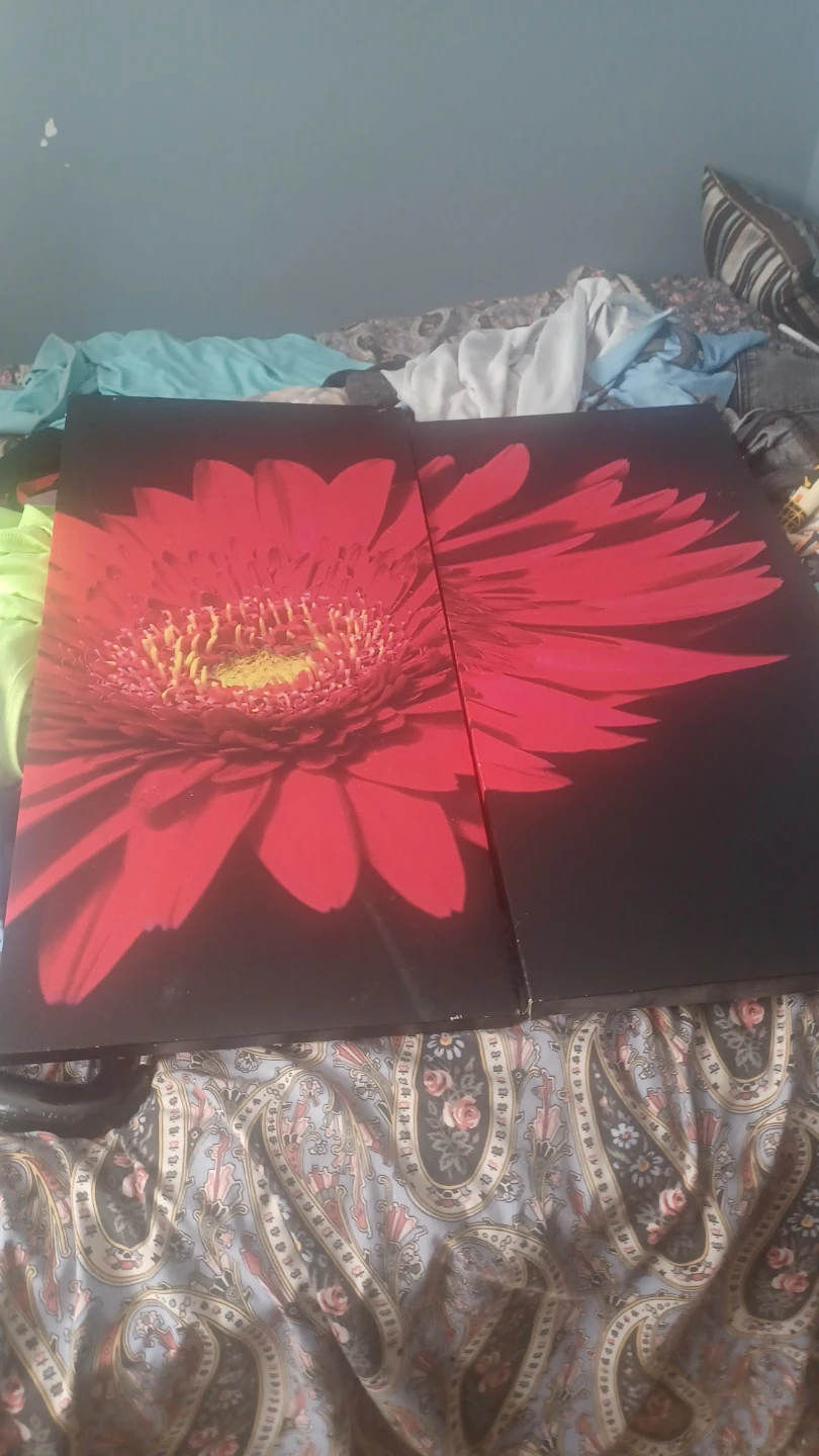 Set of 2 Floral Canvas Wall Art - photo 2