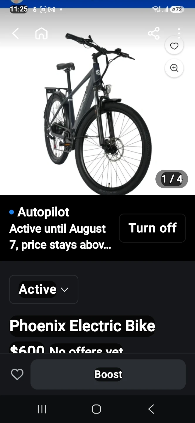 Phoenix Electric Bike - photo 3
