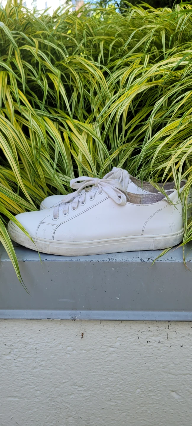 Size 8.5 womens/ 7 men's FRYE SNEAKERS - photo 4