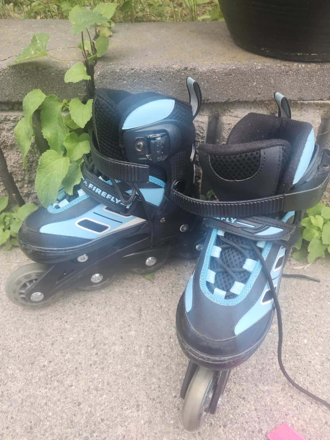 Firefly Inline Skates Size 12 to 1.5
