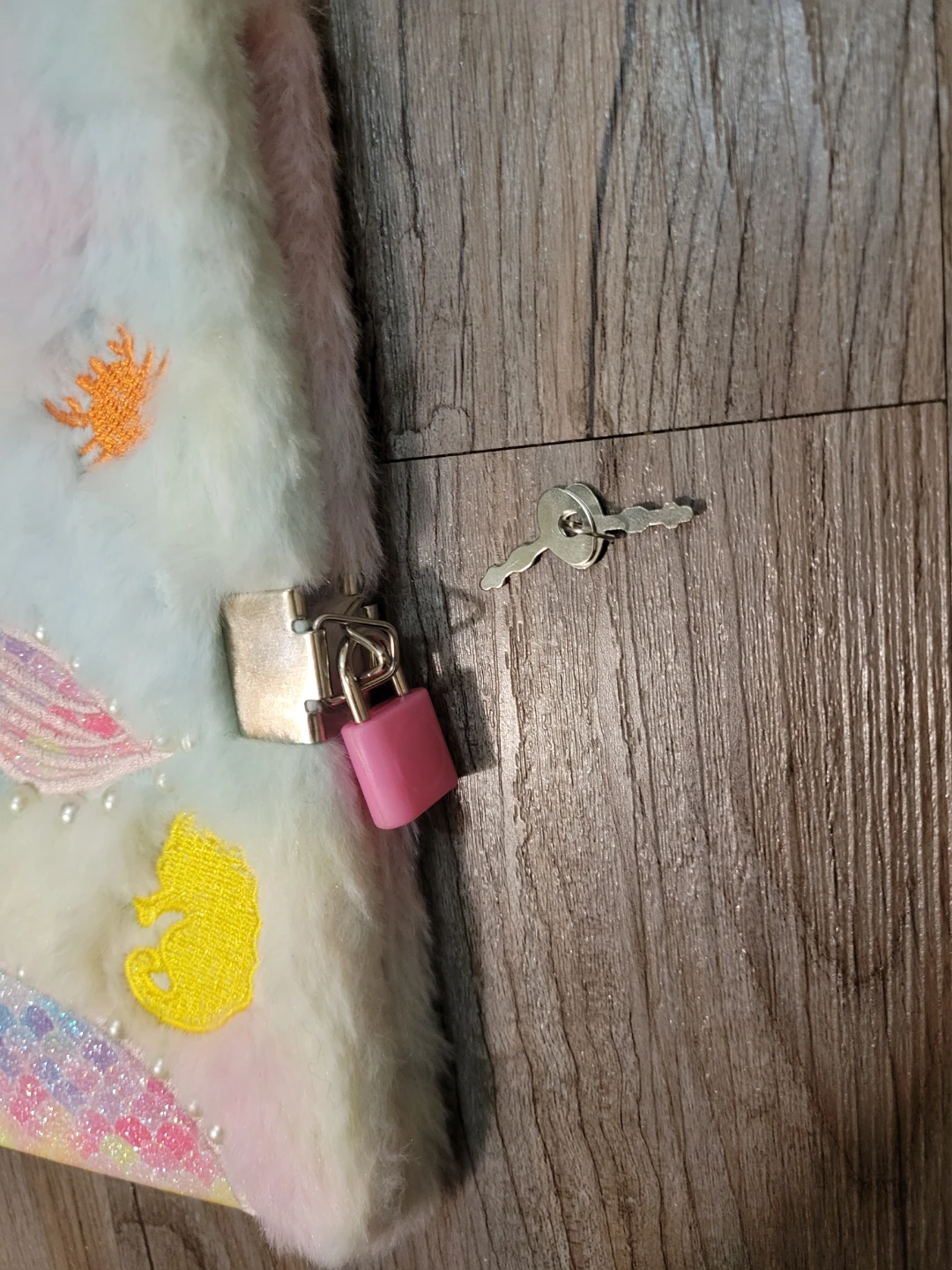 New Diary with Lock and Key - photo 2