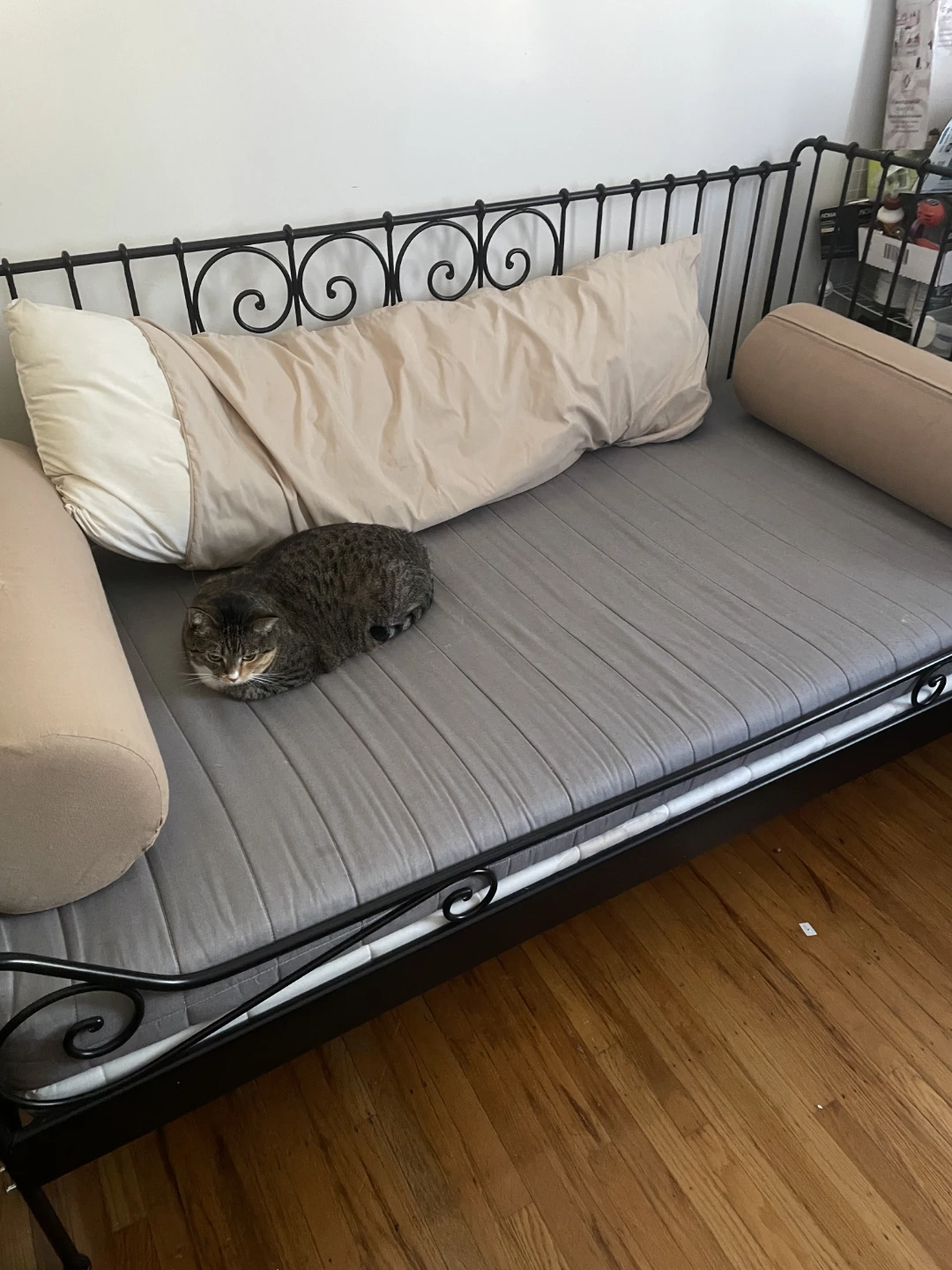 Ikea Meldal Day Bed - photo 2