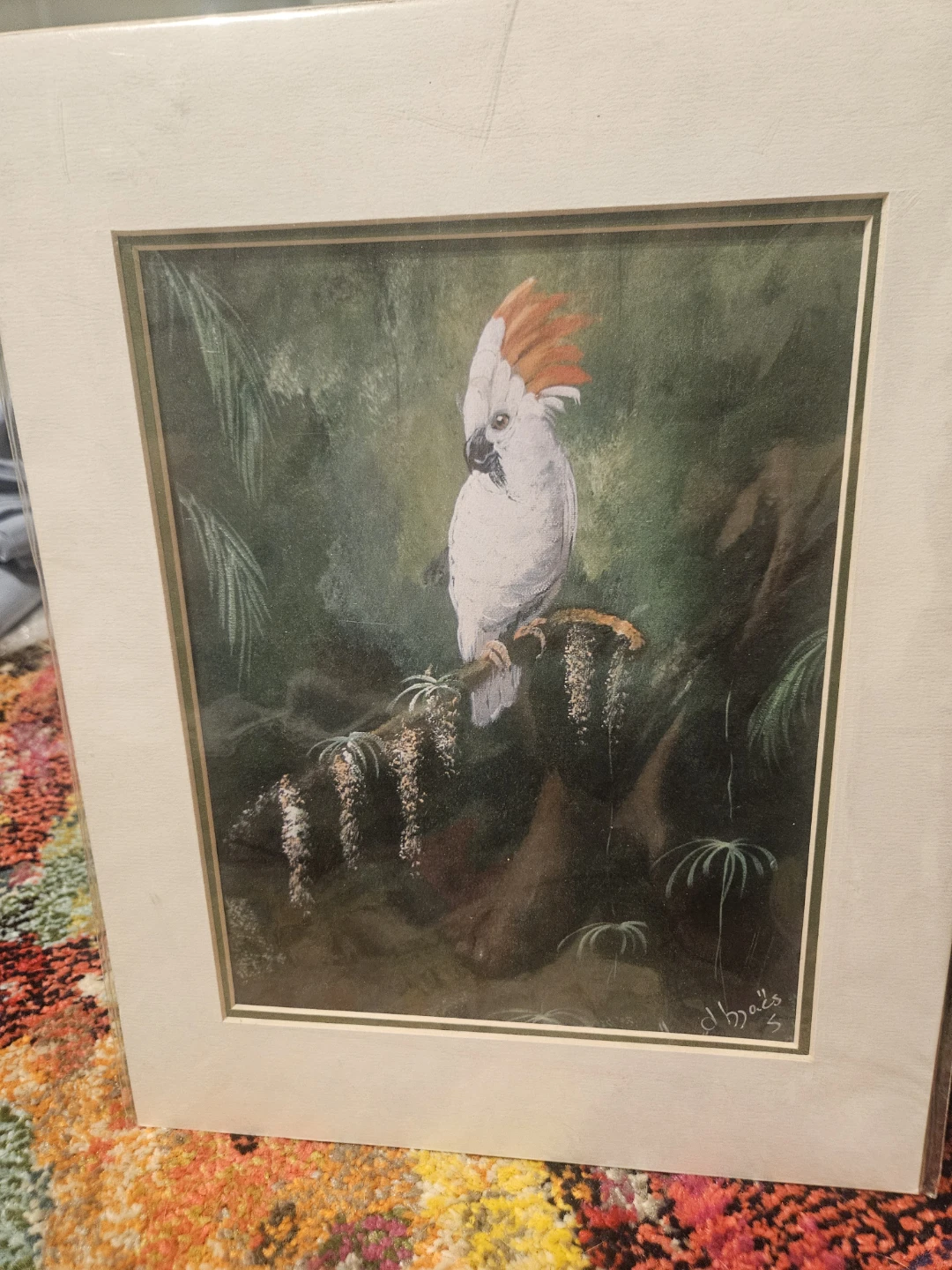 Watercolor print Painting of Cockatoo signed.