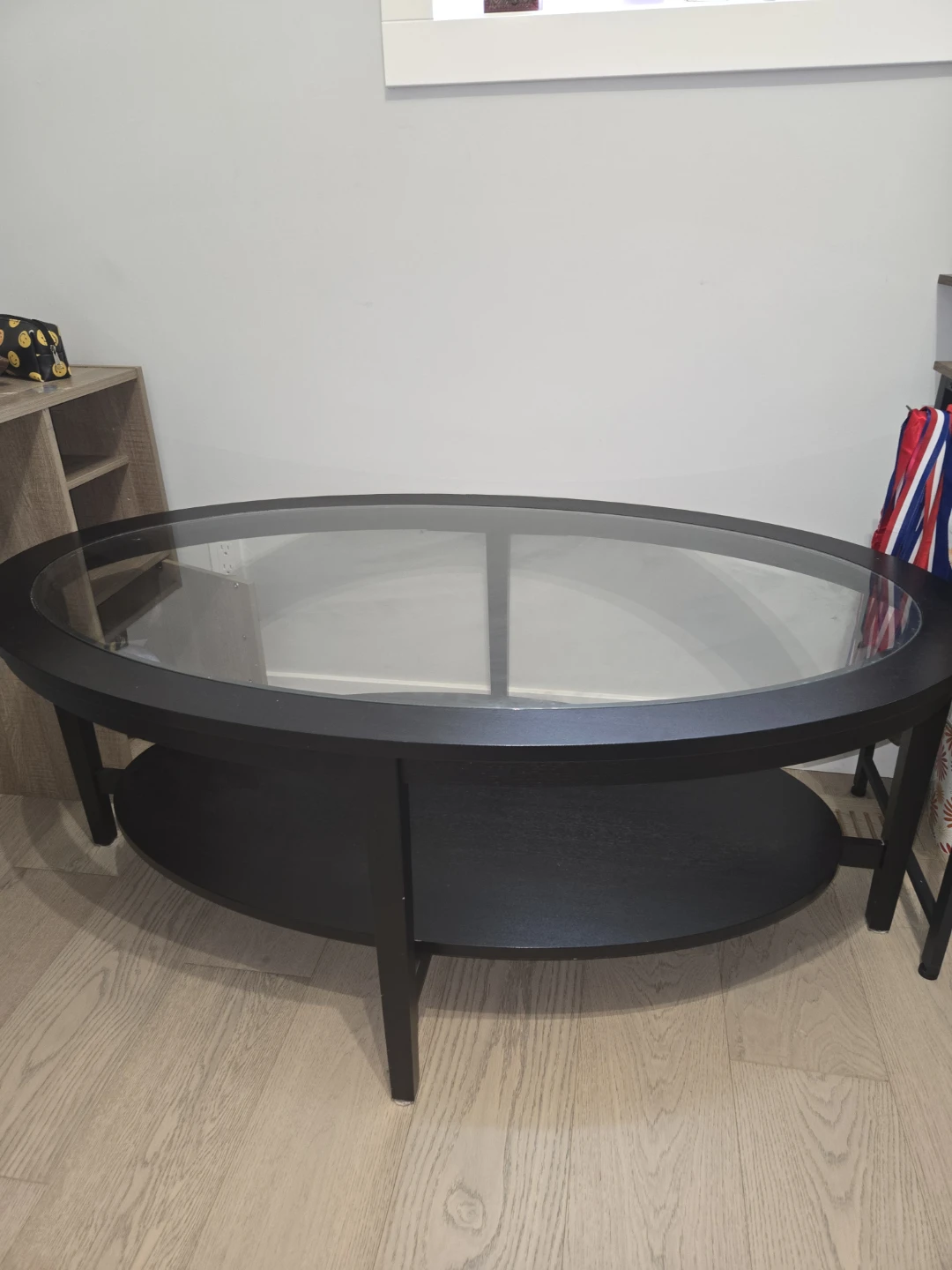 IKEA Oval Coffee Table with Glass Top and Lower Shelf