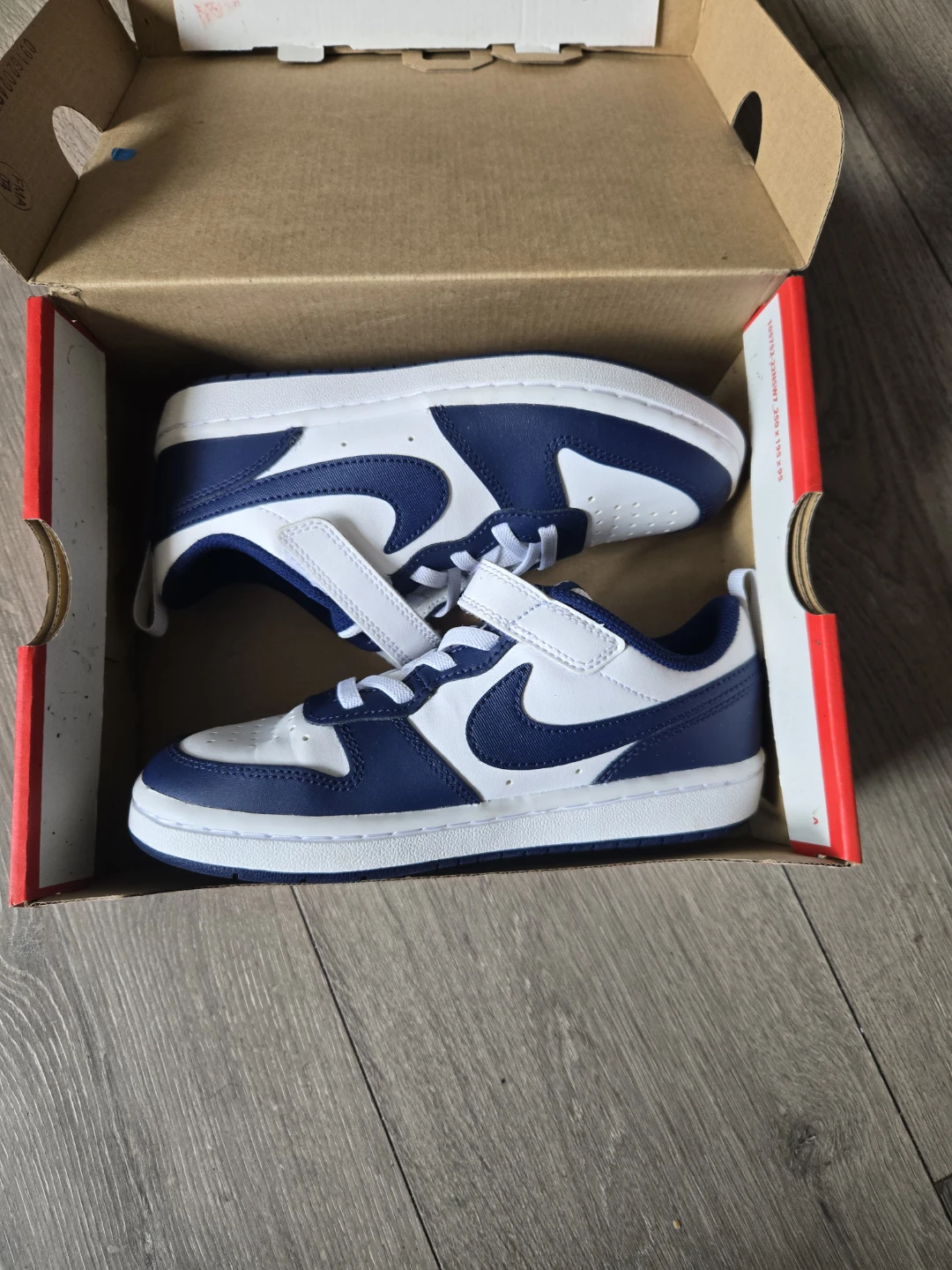 Nike Court Borough Low 2 TD Shoes
