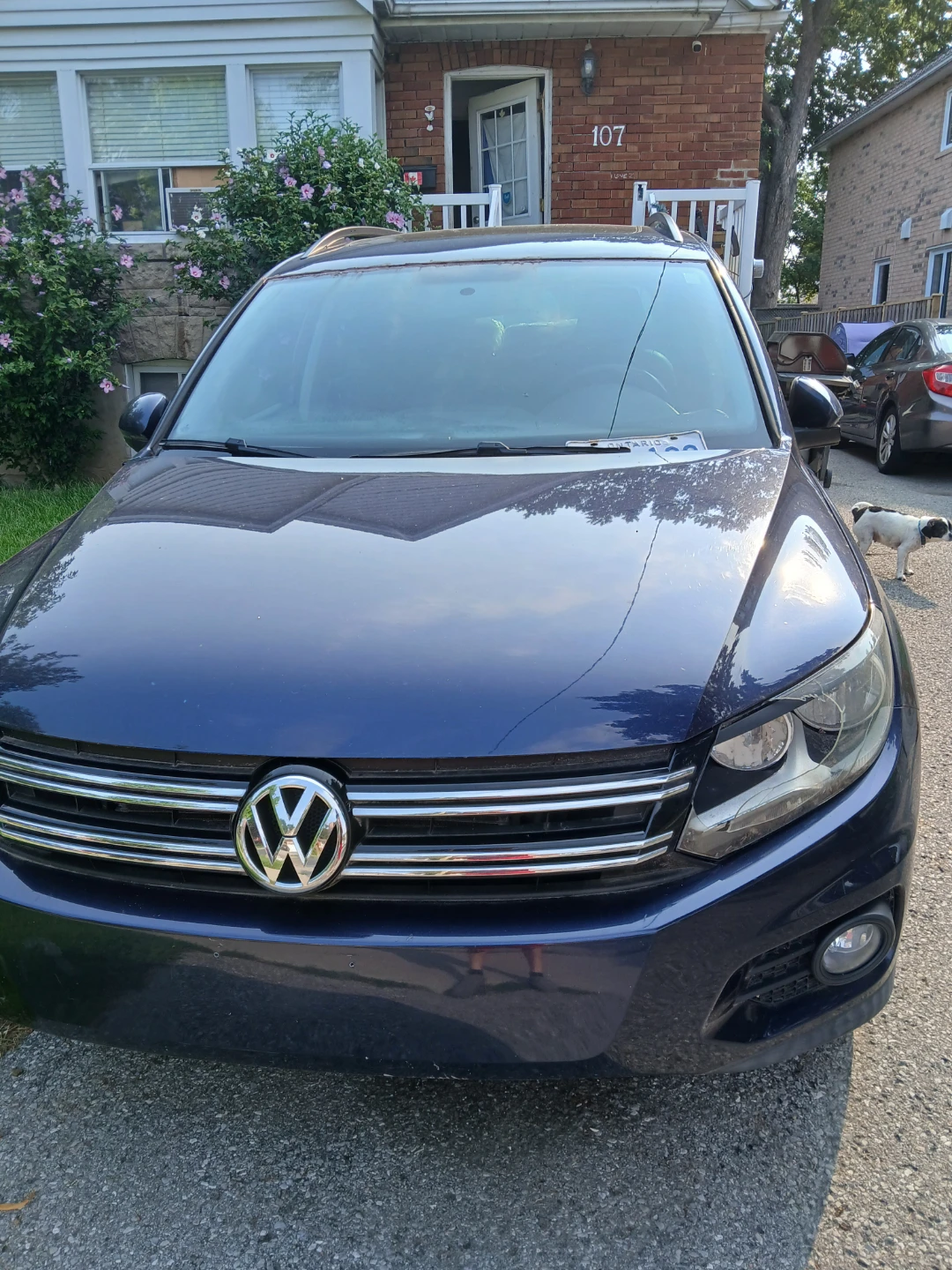 Volkswagen Tiguan 2.0 TSI